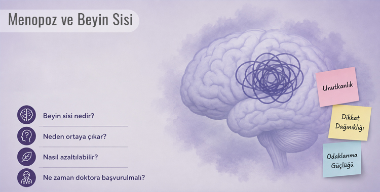 Menopoz ve Beyin Sisi: Unutkanlık ve Dikkat Dağınıklığı Neden Olur?